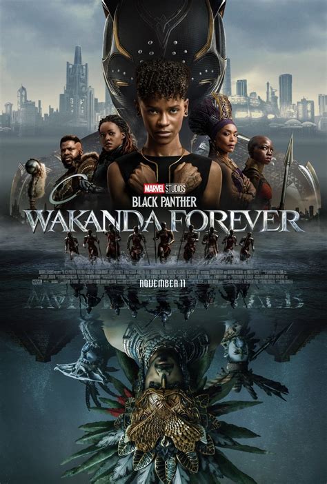 wakanda forever summary|Black Panther: Wakanda Forever Summary, Trailer,。